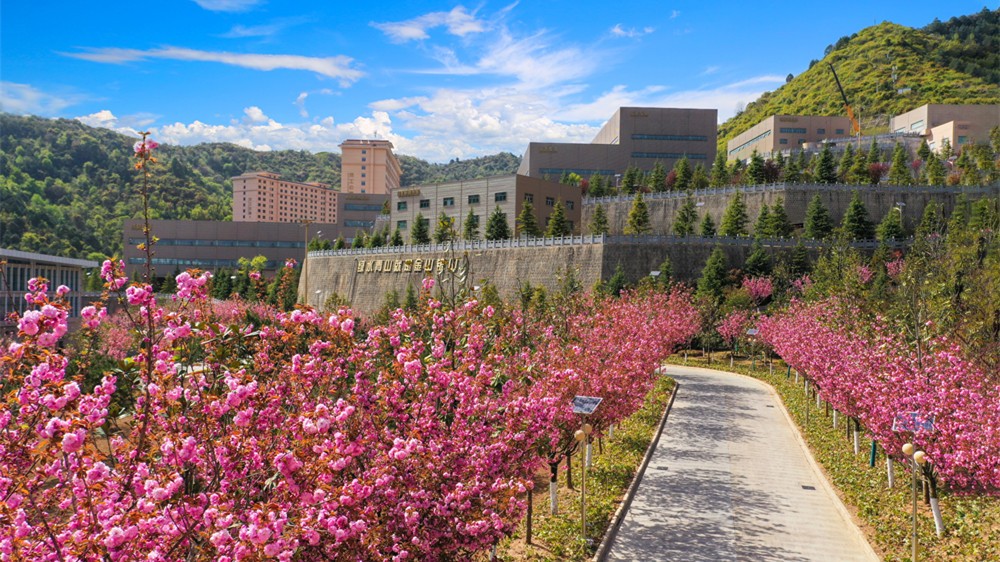 202207071657155159112523.jpg 8.jpg