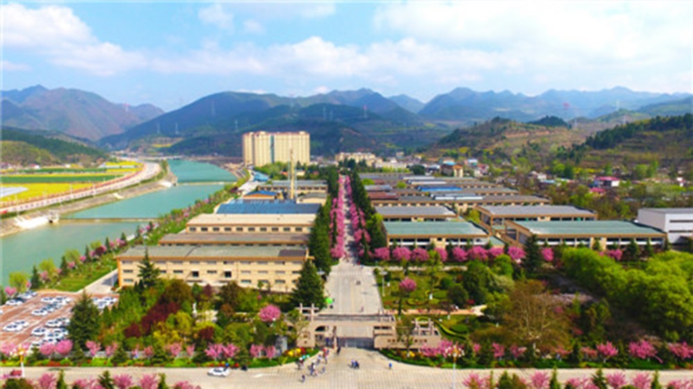 202306251687661721535839.jpg 02.jpg