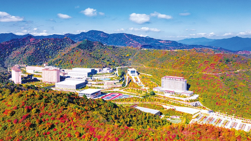 202411061730865551619062.jpg 1e0ec42d9acb4c9aa77ae21cea86ed53.jpg